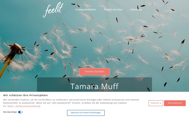 Screenshot of feelit.ch