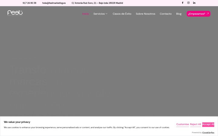 Screenshot of feelmarketing.es