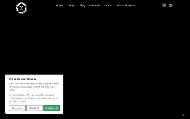 Screenshot of feelxphotography.com