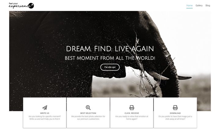 Screenshot of feelyourexperience.com