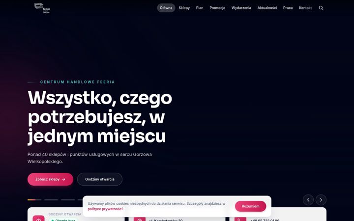 Screenshot of feeria-gorzow.pl