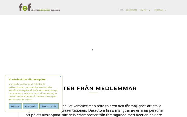 Screenshot of fef.se