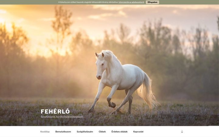 Screenshot of feherlo.com