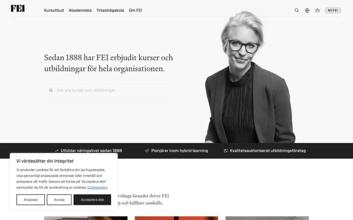 Screenshot of fei.se