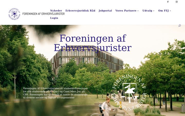 Screenshot of fej.dk