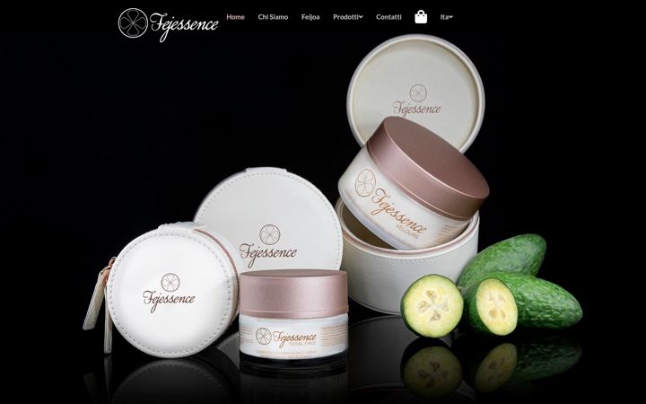 Screenshot of fejessence.com