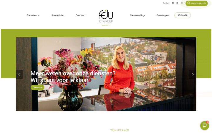 Screenshot of feju.nl