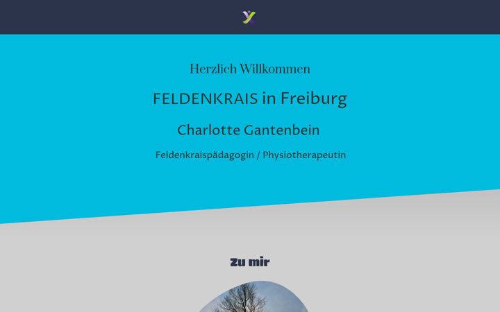 Képernyőkép: feldenkrais-gantenbein.de