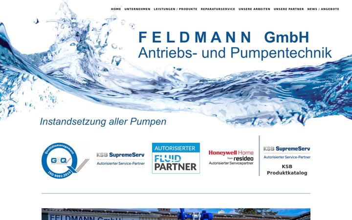 Screenshot of feldmann-pumpen.de