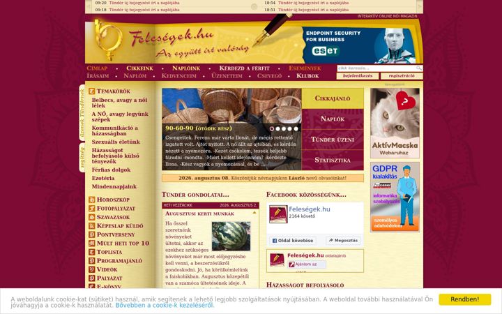 Screenshot of felesegek.hu
