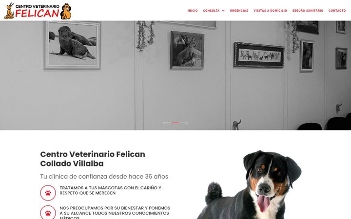 Screenshot of felicanvillalba.com