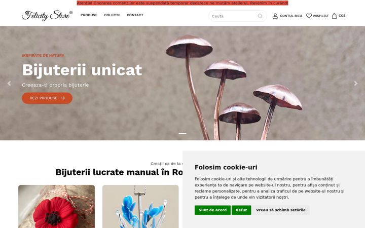 Screenshot of felicitystore.ro