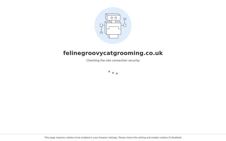 Screenshot of felinegroovycatgrooming.co.uk