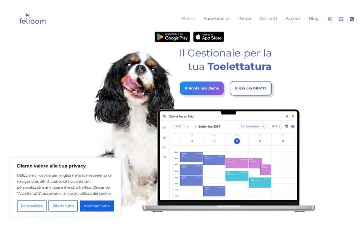 Screenshot of felioom.com