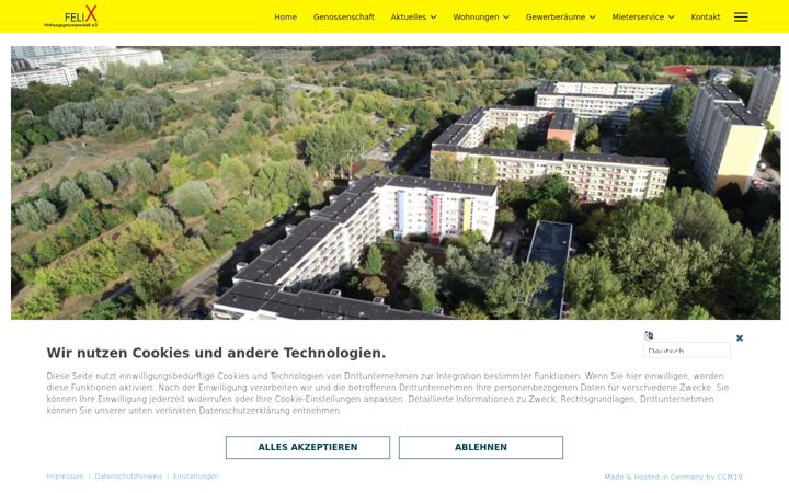 Screenshot of felix-wg.de