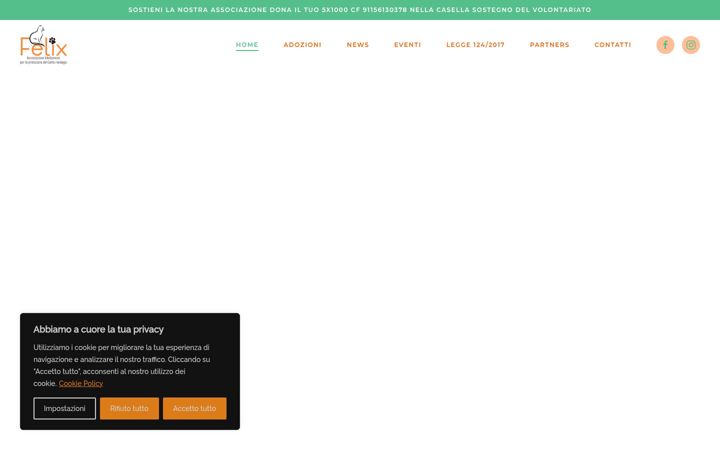 Ekraanipilt saidist felixgattilemedicina.it