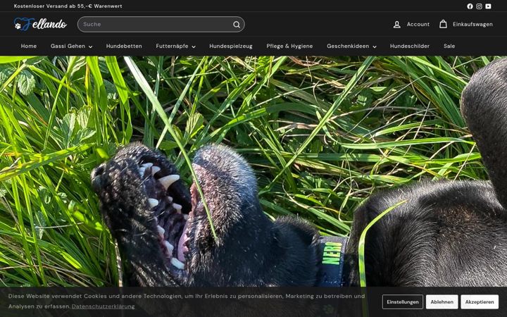 Screenshot of fellando.de