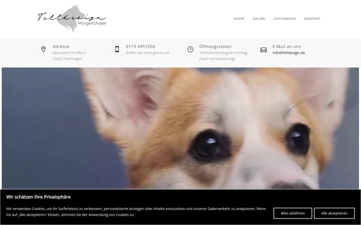 Screenshot of felldesign.de