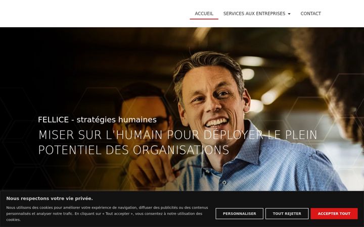 Screenshot of fellice.com