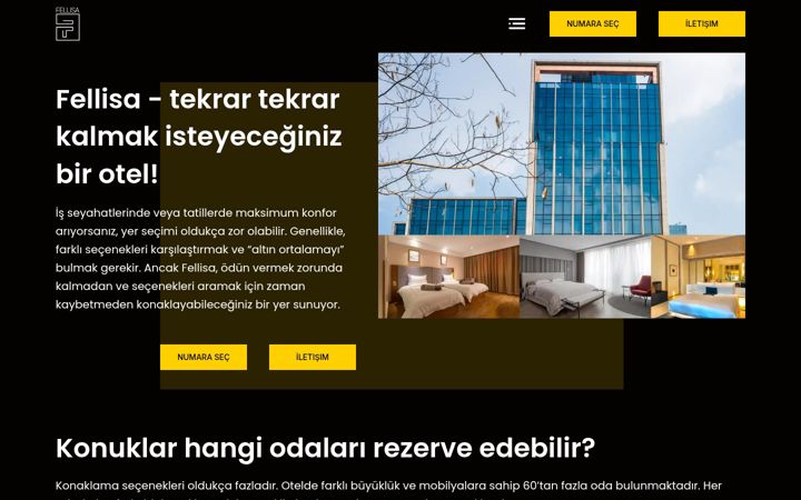 Screenshot of fellisa.com