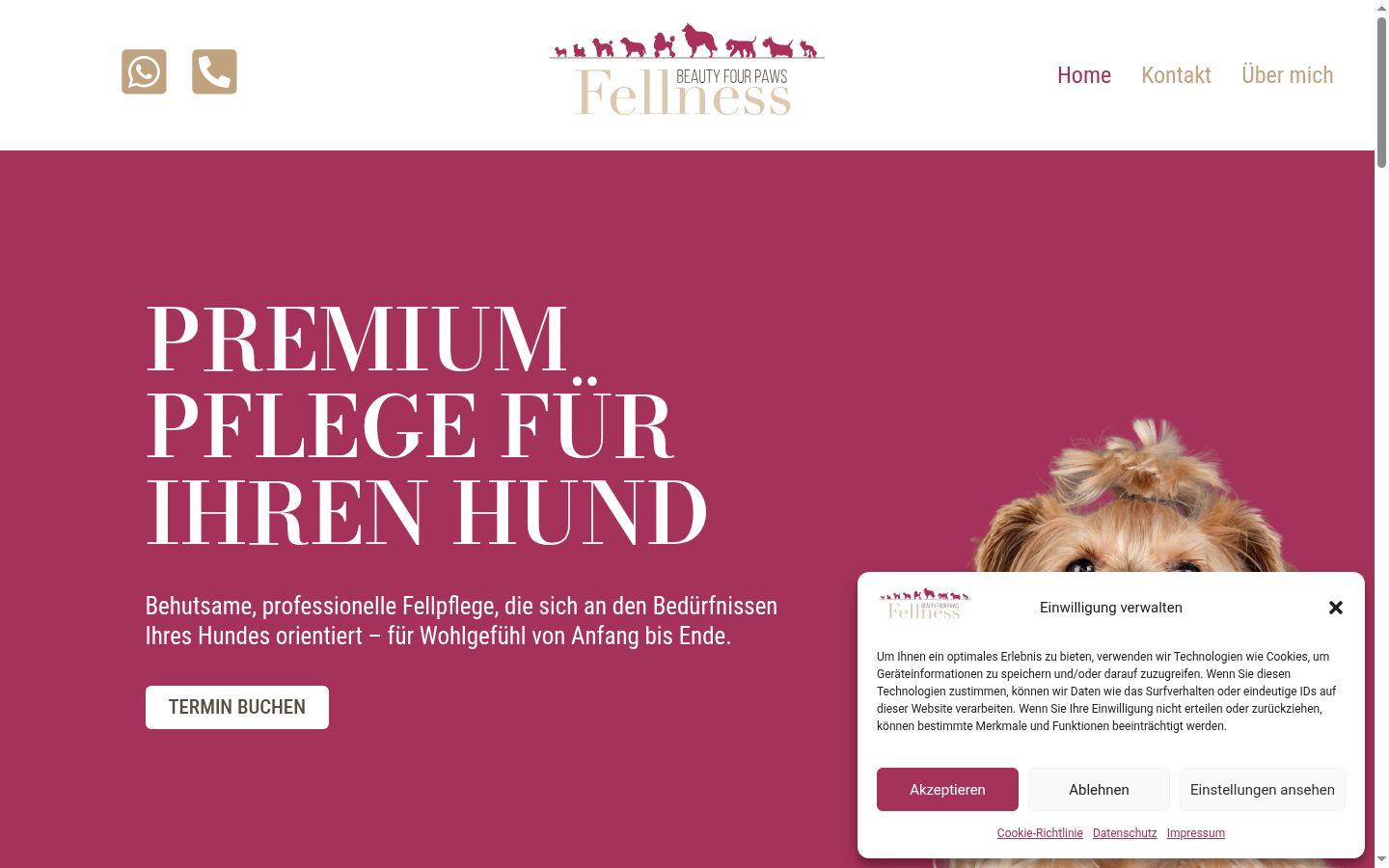 Screenshot des Einwilligungsbanners vor jeglicher Interaktion