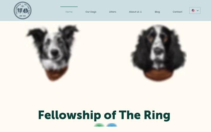 Screenshot of fellowshipfci.com