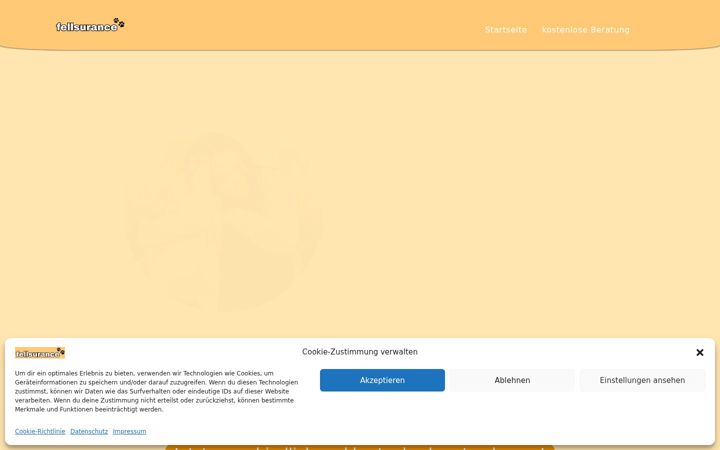 Screenshot of fellsurance.de