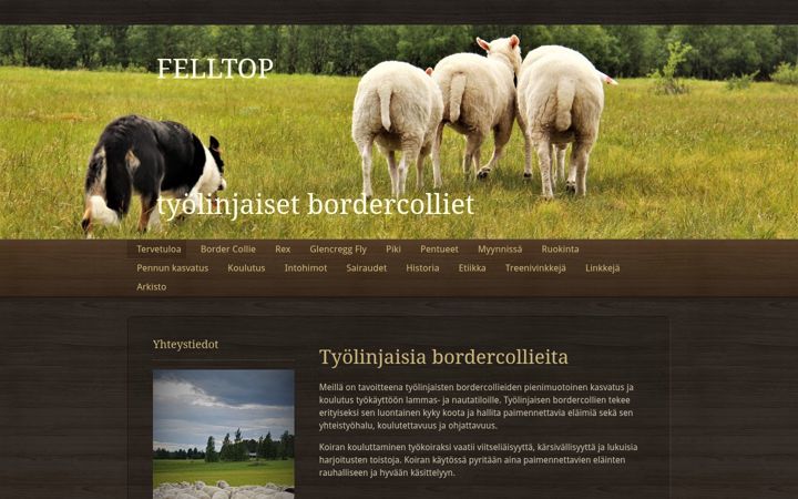 Screenshot of felltop.fi