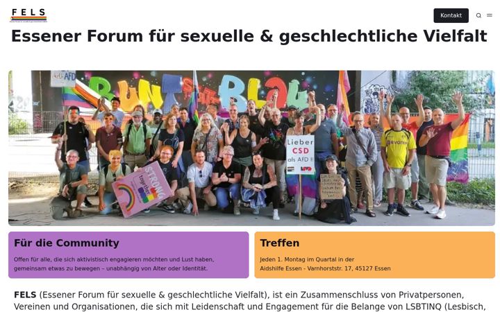 Screenshot of fels-essen.de