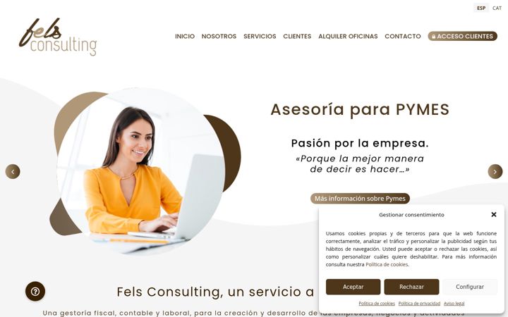 Screenshot of felsconsulting.com