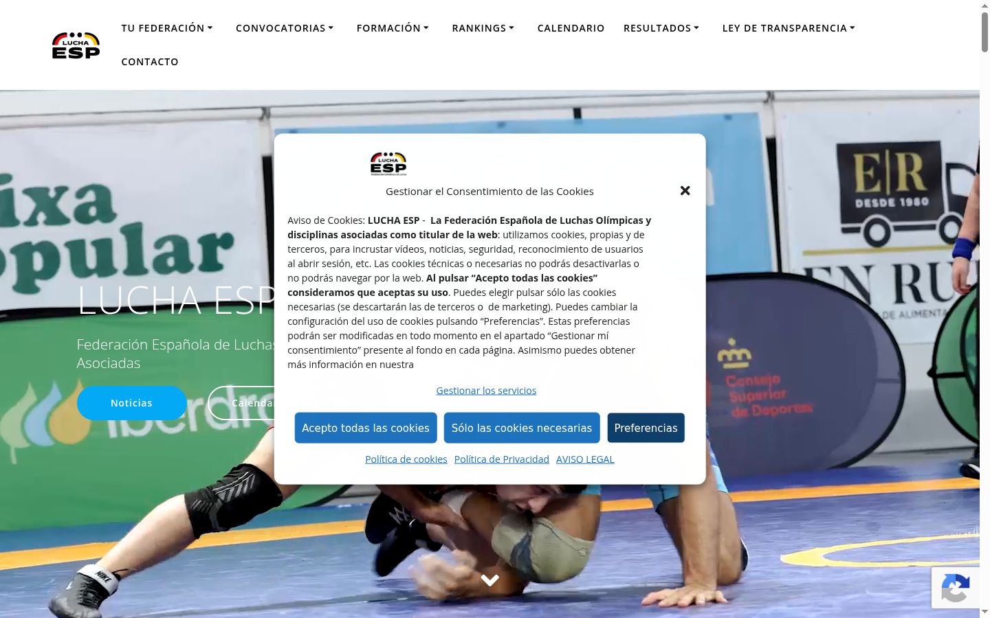 Captura de ecrã do banner de consentimento apresentado antes de qualquer interação