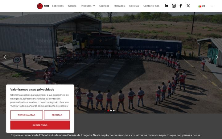 Screenshot of fem.co.mz