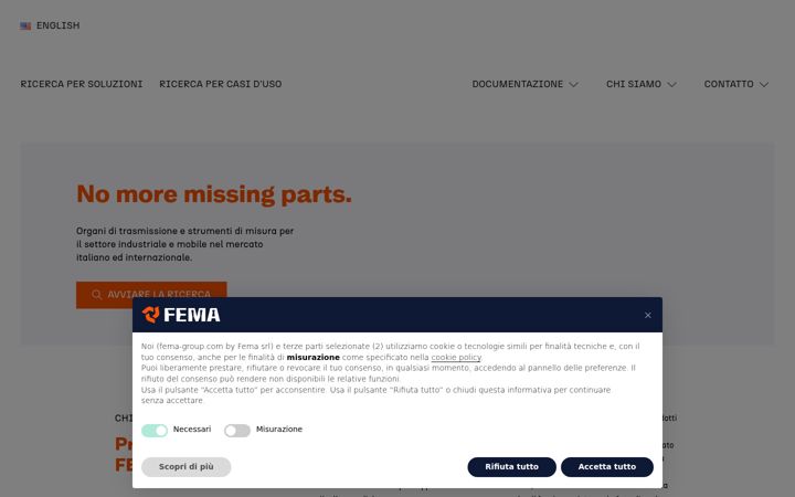Screenshot of fema-group.com