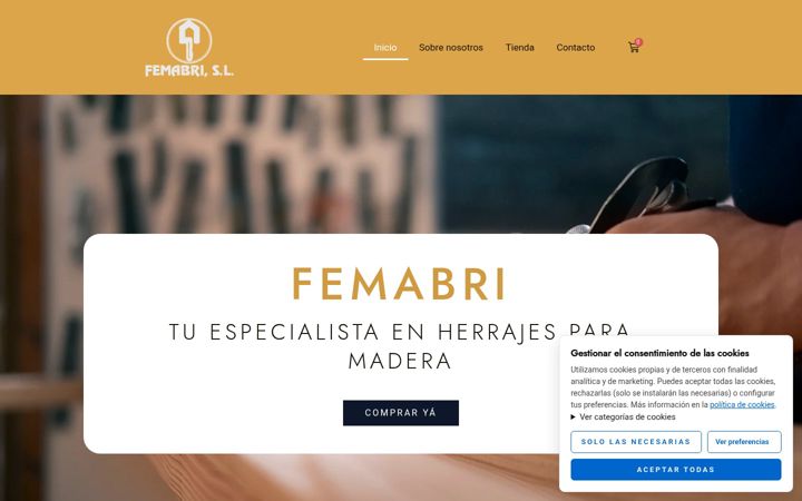 Screenshot of femabri.com