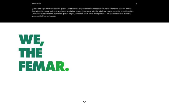 Captura de ecrã de femarconsulting.com