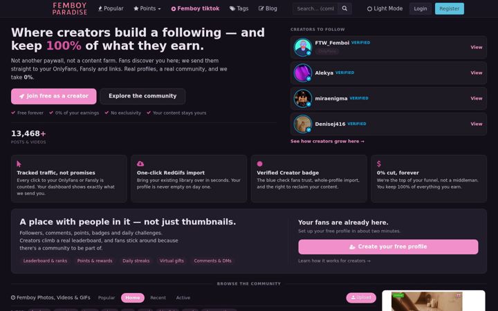 Screenshot of femboyparadise.com