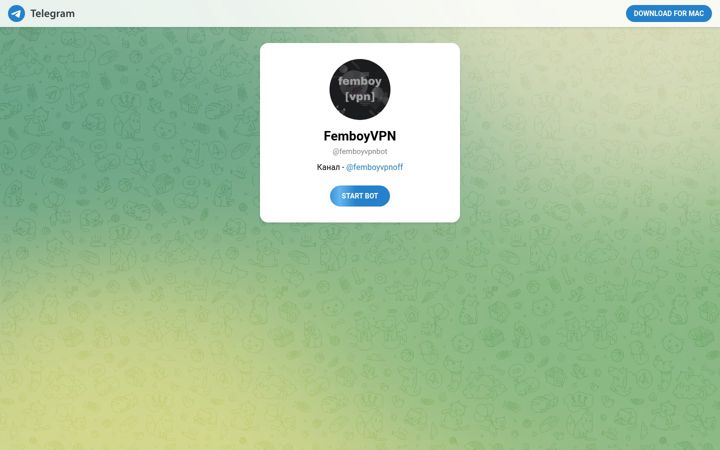 Screenshot of femboyvpn.ru