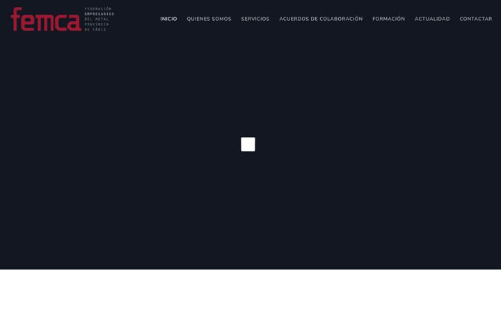 Screenshot of femca.info