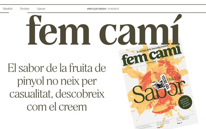 Screenshot of femcami.org
