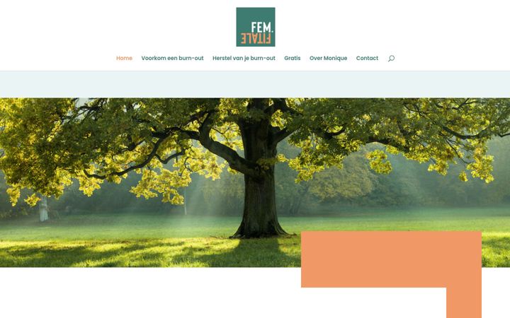 Screenshot of femfitale.nl