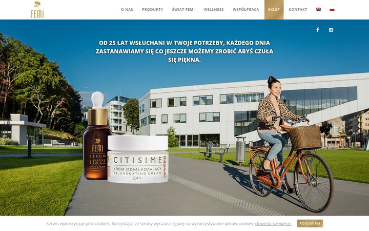 Screenshot of femi.pl