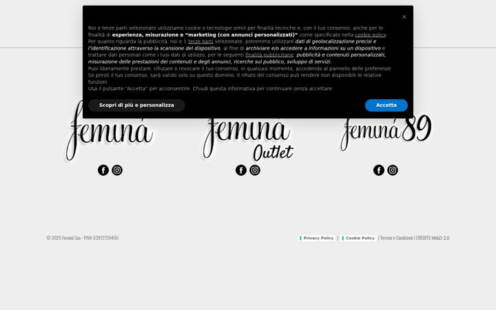 Screenshot of feminariccione.it