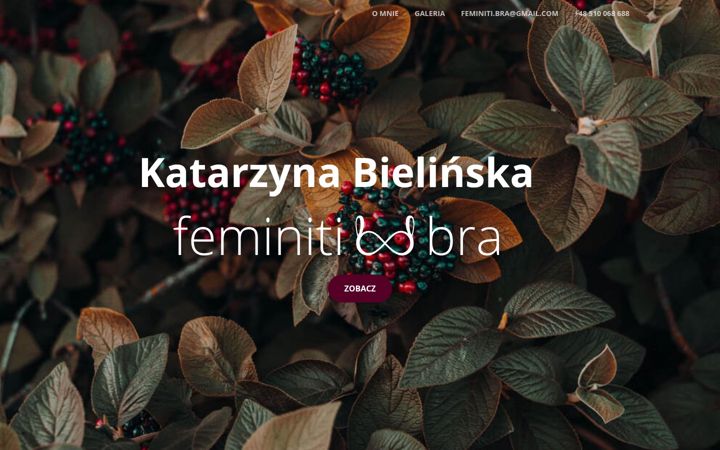 Screenshot of feminitibra.com