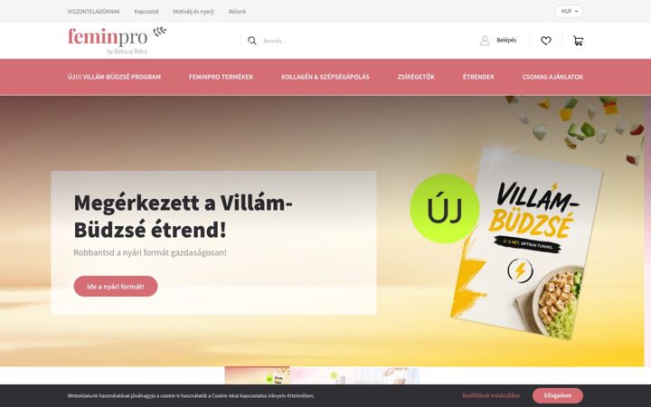 Screenshot of feminpro.hu