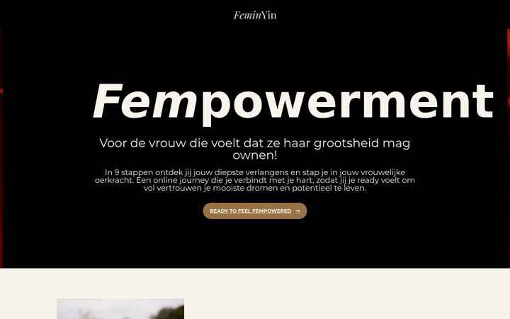 Screenshot of feminyin.nl