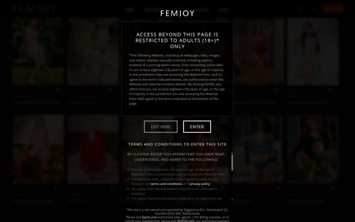 Screenshot of femjoy.com