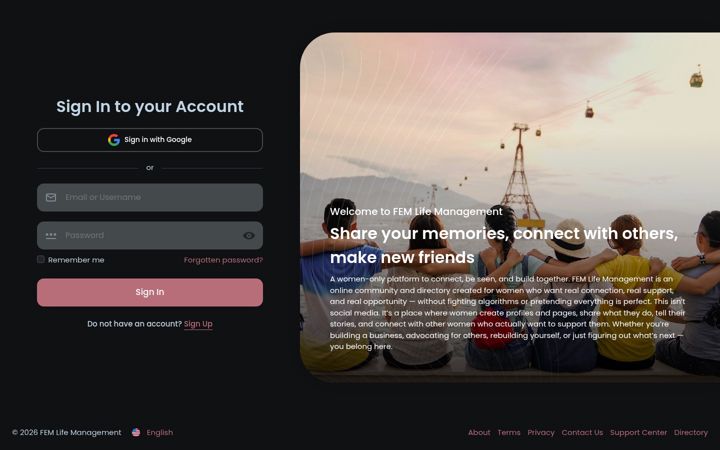 Screenshot of femlifemanagement.net