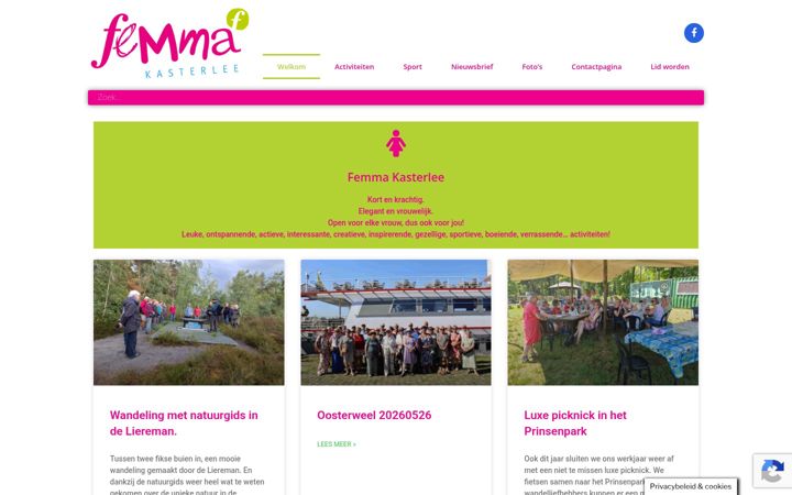 Screenshot of femmakasterlee.be