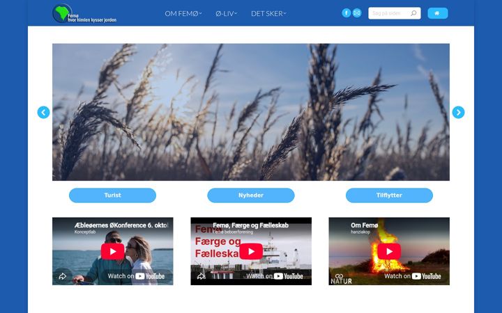 Screenshot of femo.dk