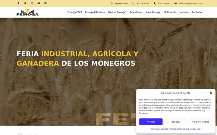 Screenshot of femoga.com